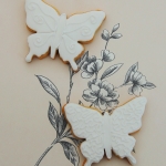 biscuit-butterflies-large