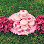 blossom-macarons-3d