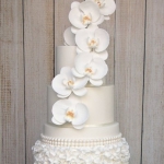 Orchid Ruffles WC 5a