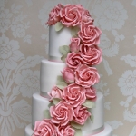 Pink Rose Cascade 5