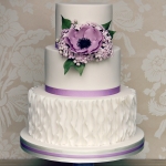 purple-anemone-wc-2a