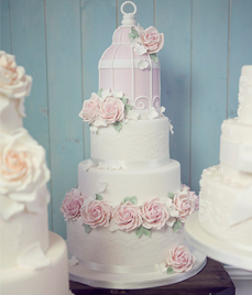 cake guide