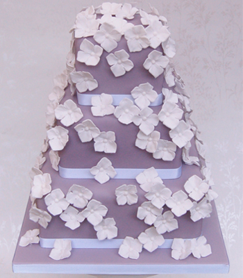 lilac hydrangeas